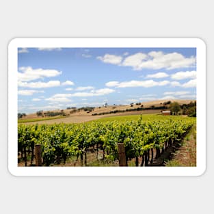 Australian Vineyard Landscape Sticker